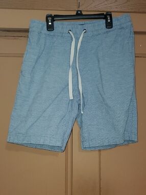 J. Crew Light Blue Stadium Short